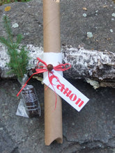Load image into Gallery viewer, Tree Seedlings in Recycled 12&quot; Craft Tubes