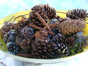 Scented Pine Cones